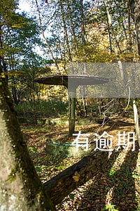 有逾期如何办理信用贷款 有逾期如何办理信用贷款