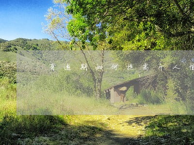 有逾期如何提高个人信用