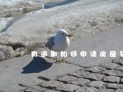 有逾期如何申请房屋贷款 有逾期如何申请房屋贷款