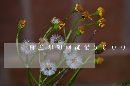 有逾期如何能借5000元 有逾期如何能借5000元