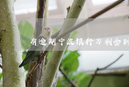 有逾期宁波银行万利金到期续借 有逾期宁波银行万利金到期续借