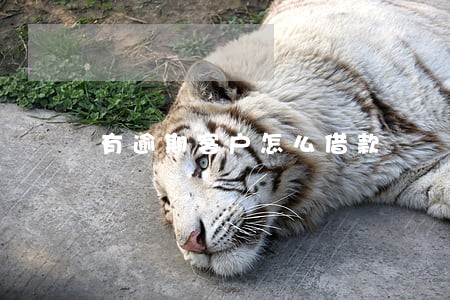 有逾期客户怎么借款 有逾期客户怎么借款