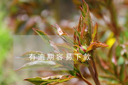 有逾期容易下款 有逾期容易下款