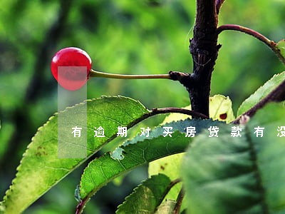 有逾期对买房贷款有没有影响 有逾期对买房贷款有没有影响