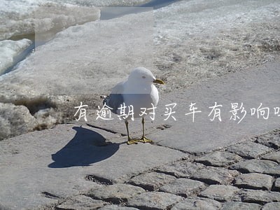 有逾期对买车有影响吗 有逾期对买车有影响吗