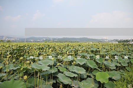 有逾期对贷款买房有影响吗 有逾期对贷款买房有影响吗