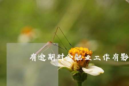 有逾期对金融业工作有影响吗 有逾期对金融业工作有影响吗