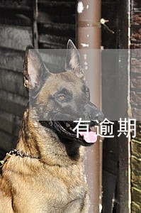 有逾期小芽贷能贷吗 有逾期小芽贷能贷吗