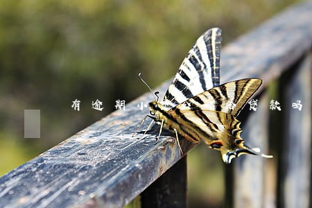 有逾期小贷公司给贷款吗