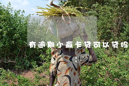 有逾期小赢卡贷可以贷吗 有逾期小赢卡贷可以贷吗