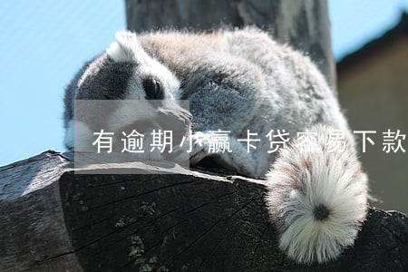 有逾期小赢卡贷容易下款吗 有逾期小赢卡贷容易下款吗