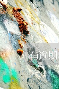 有逾期小额贷款公司 有逾期小额贷款公司