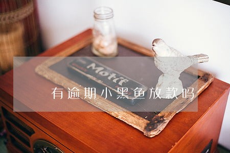 有逾期小黑鱼放款吗 有逾期小黑鱼放款吗