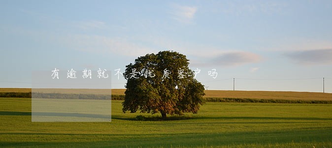 有逾期就不是优质客户吗 有逾期就不是优质客户吗