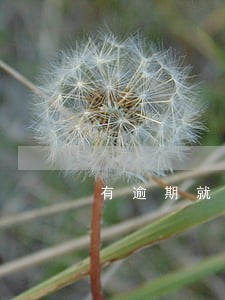 有逾期就不能办卡吗