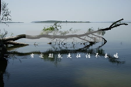 有逾期就是征信不良吗