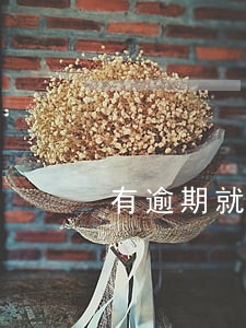 有逾期就用不了公积金贷款吗 有逾期就用不了公积金贷款吗