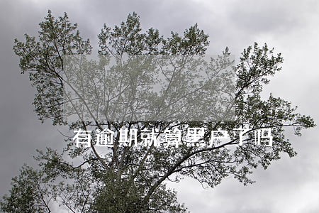 有逾期就算黑户了吗