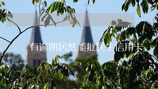 有逾期居然能批民生信用卡 有逾期居然能批民生信用卡
