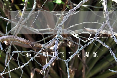 有逾期工商专享提额 有逾期工商专享提额