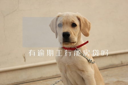 有逾期工行能房贷吗