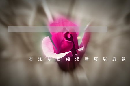有逾期已经还清可以贷款吗 有逾期已经还清可以贷款吗