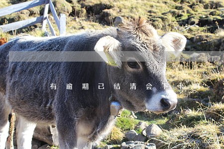 有逾期已结清会下卡吗 有逾期已结清会下卡吗