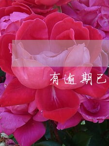 有逾期已结清可以做房贷么 有逾期已结清可以做房贷么