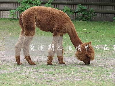 有逾期已结清可以在省呗借钱吗 有逾期已结清可以在省呗借钱吗