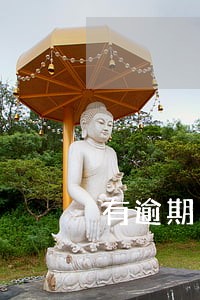 有逾期已结清能干辅警吗 有逾期已结清能干辅警吗