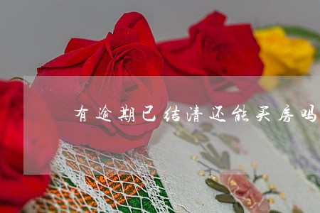 有逾期已结清还能买房吗 有逾期已结清还能买房吗