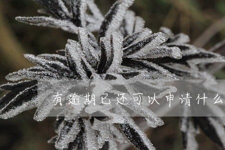 有逾期已还可以申请什么网贷 有逾期已还可以申请什么网贷