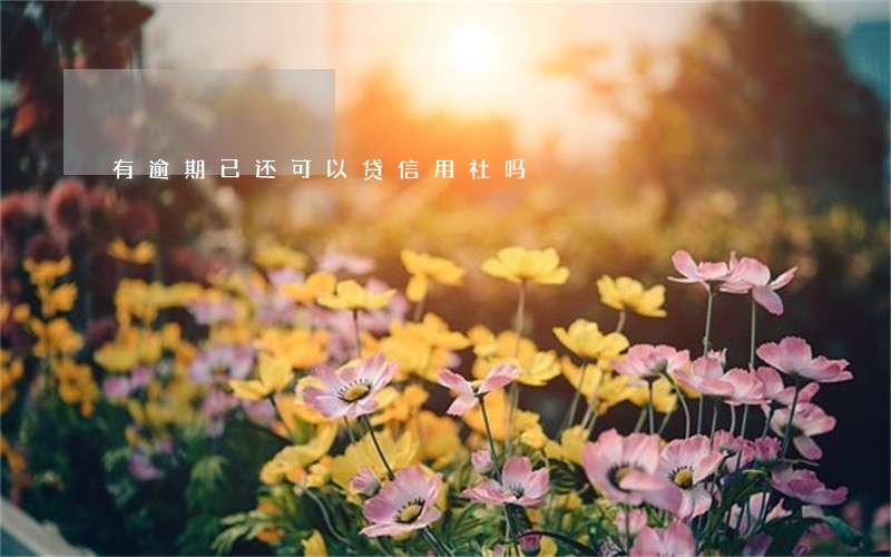 有逾期已还可以贷信用社吗 有逾期已还可以贷信用社吗