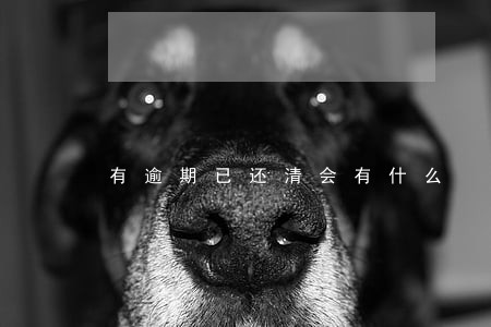 有逾期已还清会有什么 有逾期已还清会有什么