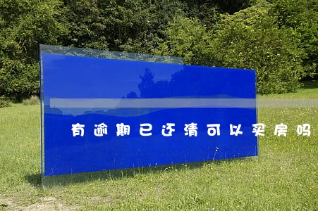 有逾期已还清可以买房吗 有逾期已还清可以买房吗