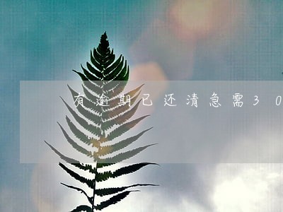 有逾期已还清急需30万 有逾期已还清急需30万