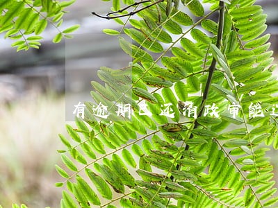 有逾期已还清政审能过吗 有逾期已还清政审能过吗