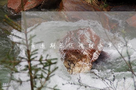有逾期已还清能办车贷吗 有逾期已还清能办车贷吗