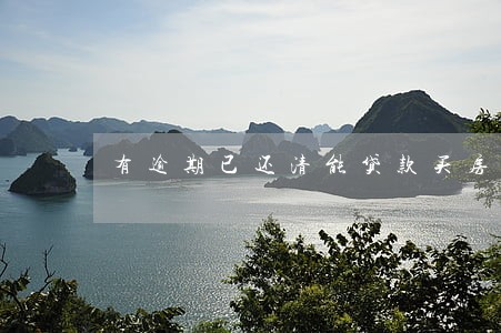 有逾期已还清能贷款买房子吗 有逾期已还清能贷款买房子吗