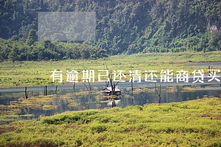 有逾期已还清还能商贷买房吗