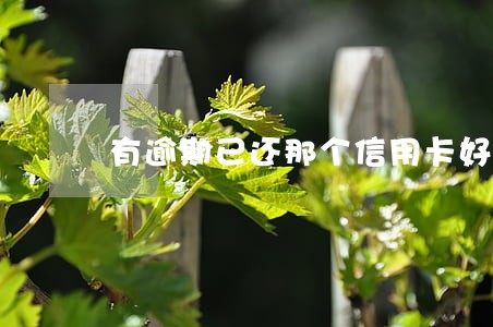 有逾期已还那个信用卡好办 有逾期已还那个信用卡好办