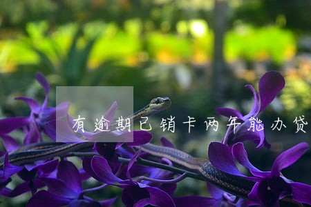 有逾期已销卡两年能办贷款吗 有逾期已销卡两年能办贷款吗