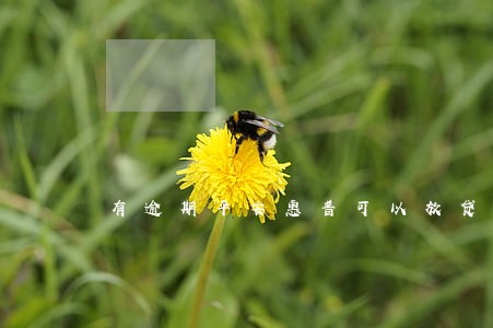 有逾期平安惠普可以放贷 有逾期平安惠普可以放贷