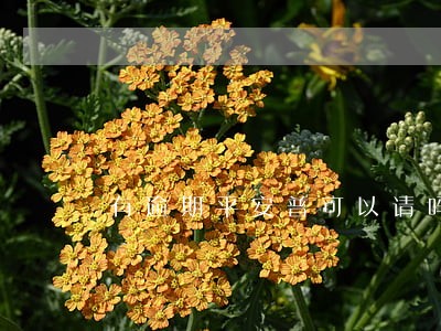 有逾期平安普可以请吗