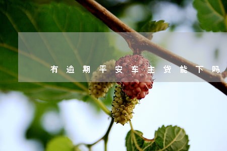 有逾期平安车主贷能下吗 有逾期平安车主贷能下吗