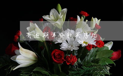 有逾期年贷款买房吗