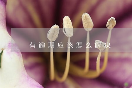 有逾期应该怎么解决 有逾期应该怎么解决
