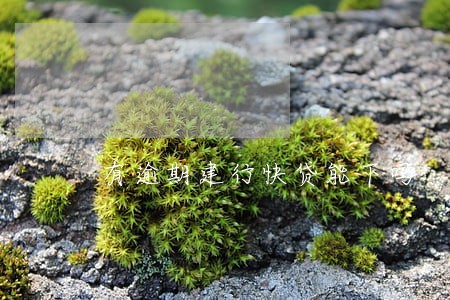 有逾期建行快贷能下吗 有逾期建行快贷能下吗