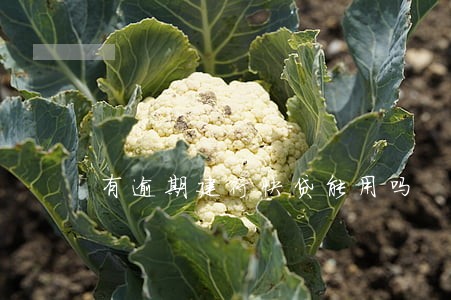 有逾期建行快贷能用吗 有逾期建行快贷能用吗