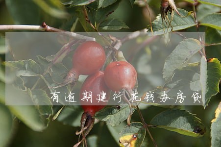 有逾期建行花钱办房贷 有逾期建行花钱办房贷